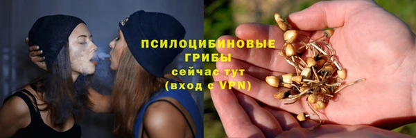 индика Новокубанск