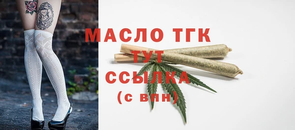 индика Новокубанск