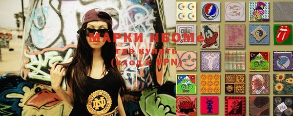 индика Новокубанск
