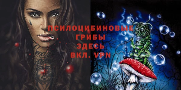 бошки Новодвинск